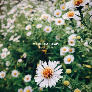 港口黑车电子板
