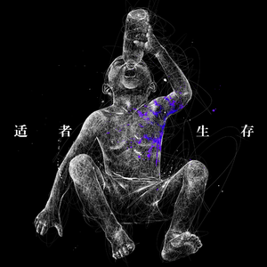 港口黑车电子板
