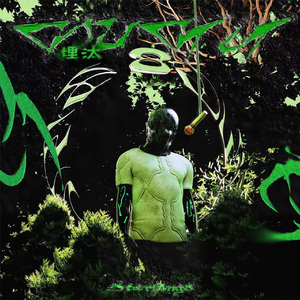 港口黑车电子板
