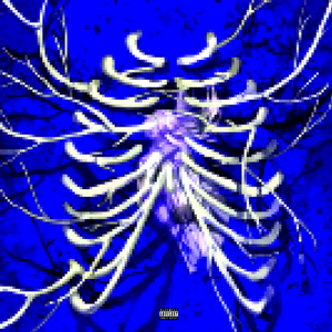 港口黑车电子板
