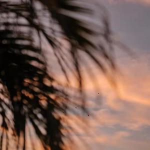 港口黑车电子板
