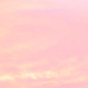 港口黑车电子板
