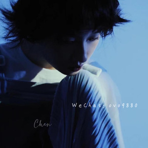 港口黑车电子板
