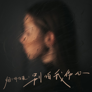 港口黑车电子板
