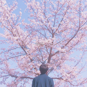 港口黑车电子板
