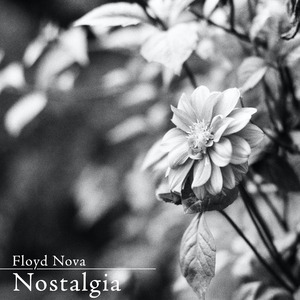 港口黑车电子板
