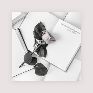 港口黑车电子板
